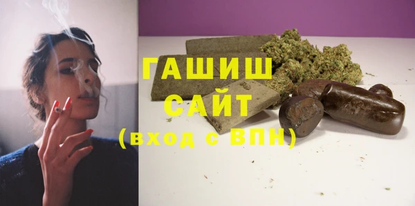 гидра Снежногорск