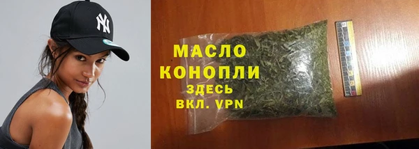 гидра Снежногорск