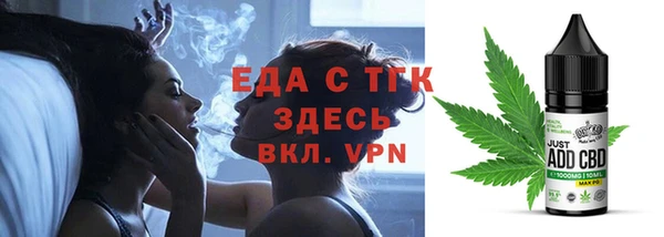 гидра Снежногорск
