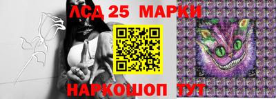 хмурый Берёзовский