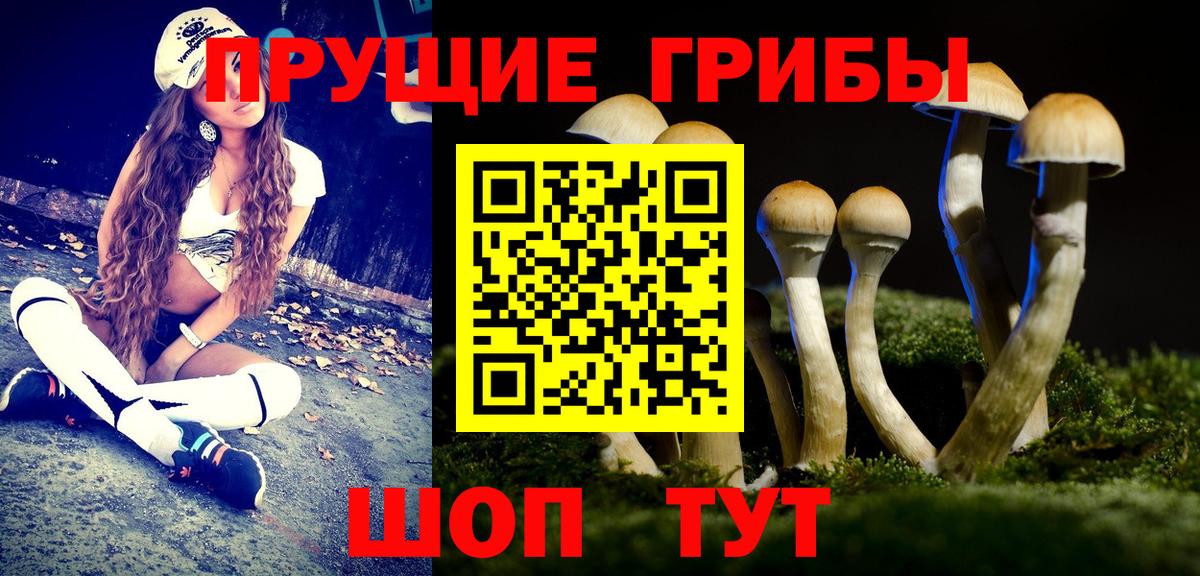 Вятские Поляны  Галлюциногенные грибы Cubensis  Вход с VPN  Галлюциногенные грибы мухоморы 