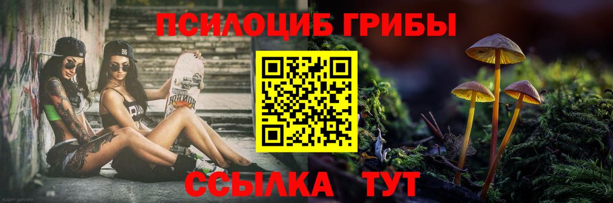 Галлюциногенные грибы прущие грибы Вятские Поляны